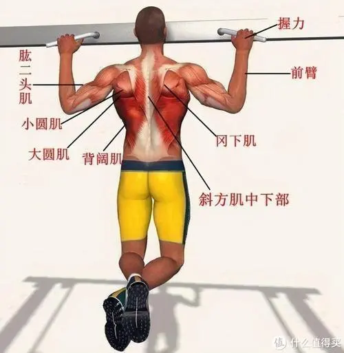 室内引体健身器材